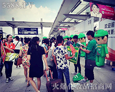 V|F(xin)𱬾W(wng)ߴaٛYƷߝq