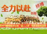 2013����֮·�O�ޝ�����Ӗ�I