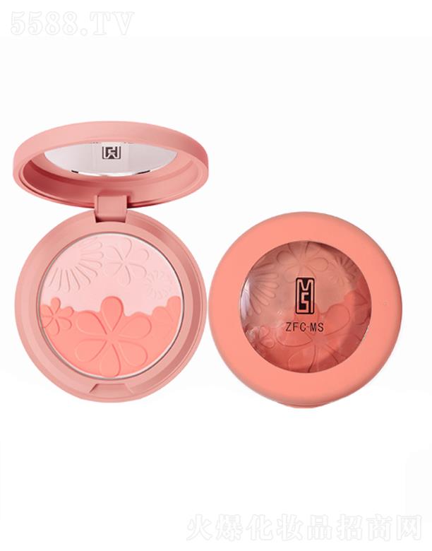 ZFC�Ȏ����\�pɫ���t